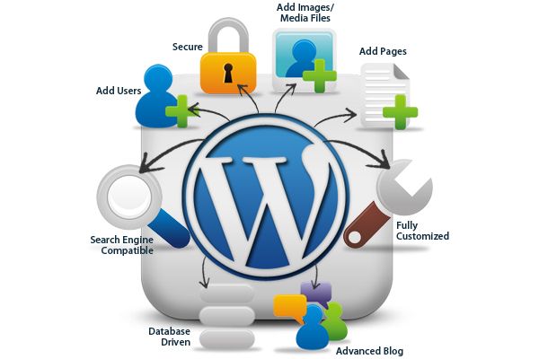 Dynamic Website Designing